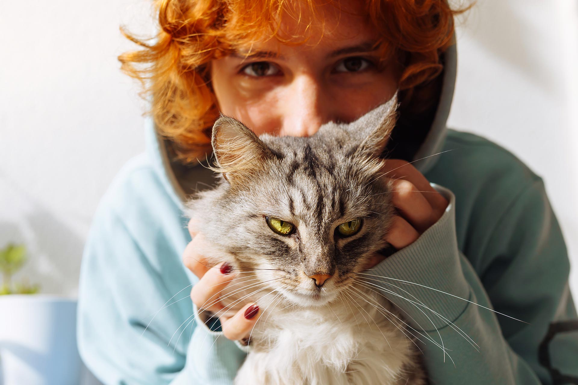 Συχνές ερωτήσεις — Hold My Paw